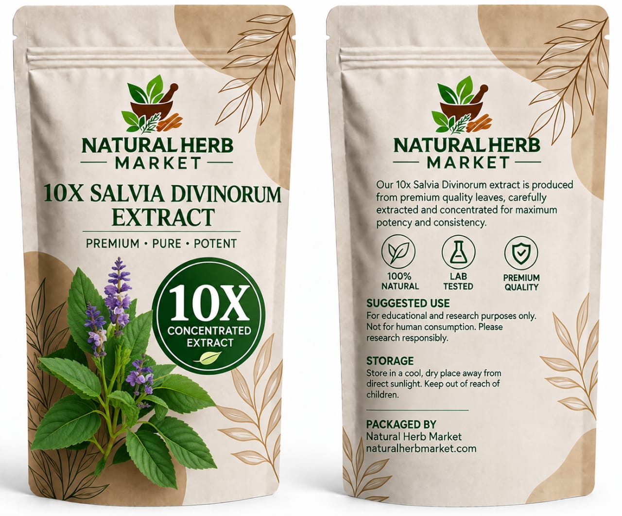 Salvia Divinorum – Botanical Guide, Identification & Care